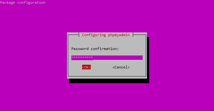 phpmyadmin-package-configuration-confirm-phpmyadmin-pass.png Conferma la password